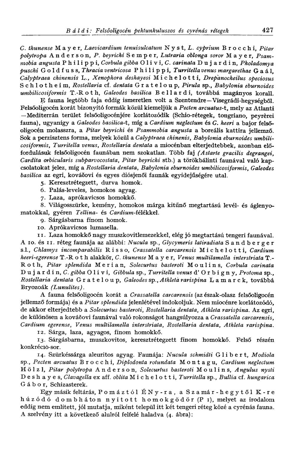 В didi: Felsőoligocén pektunkuluszos és cyrénás rétegek 427 C. thunense Mayer, Laevicardium tenuisulcatum N y s t, L. cyprium В г о с с h i, Pitar polytropa Anderson, P.