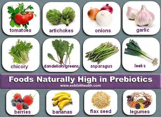 Prebiotikumok Nem emészthető élelmiszer összetevők Nem hatnak rá gyomor és bélrendszer emésztőenzimei Változatlan formában képesek eljutni a