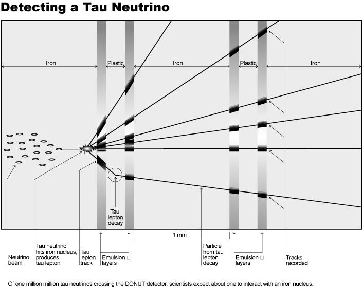 Leptonok ( 1) (0) elektron muon tau elektronneutrínó muonneutrínó