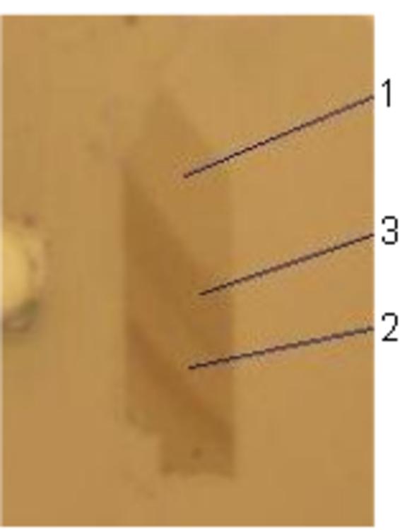 2. ábra. Az egy-, két- és háromrétegű grafén minta optikai mikroszkópos felvétele (készítette: Dobrik Gergely, MTA Természettudományi Kutatóközpont). tanulmányozzák.