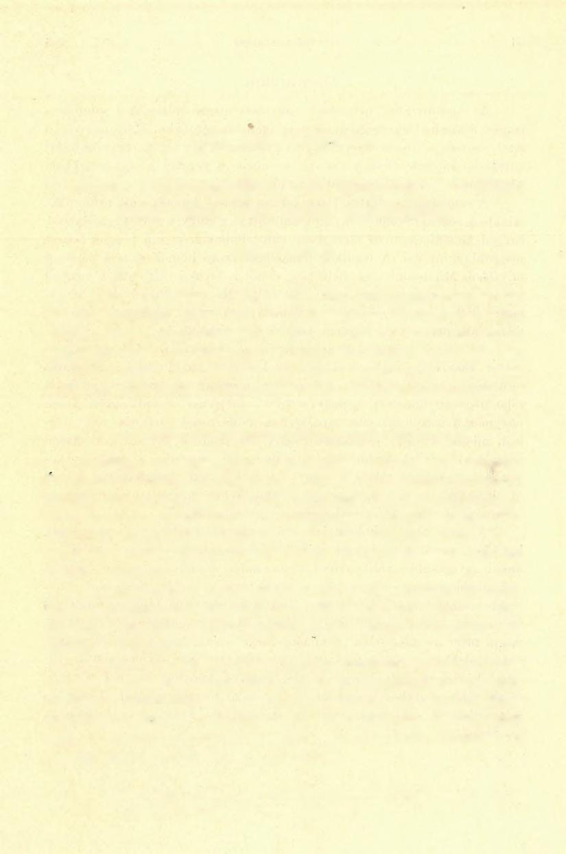 I I I. Egyéb jelentések. c 1. Adatok a Gömörmegyében a Kis Sajó-patak és a Balogpatak között fekvő terület geológiájához, Illés ViLMOstól. A múlt év nyarán a nagym. m. kir.
