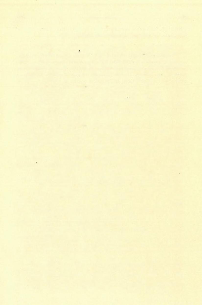 (1 0 ) FÖLVÉTELI JELENTÉS. 213 Hypersthénes-augitos andesit. Területemen a leggyakoribb eruptiós kőzet. Néhol telórekben fordul elő, melyek csapása E D i vagy K Ny-i.