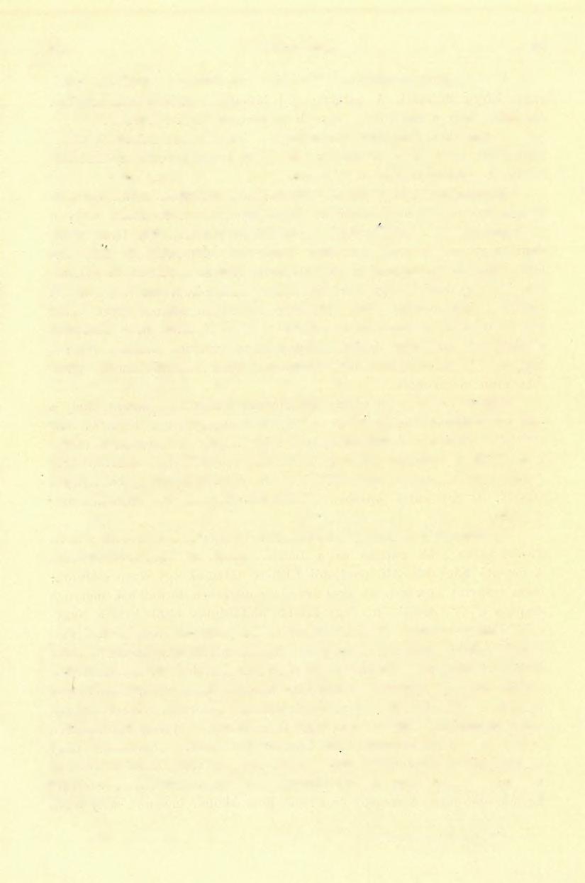 (4) FÖLVÉTELI JELENTÉS. 207 a rétegek tehát gyűrődöttek és gyűrődéseik, mint látni fogjuk, a triász rétegekéivel egyértelműek.