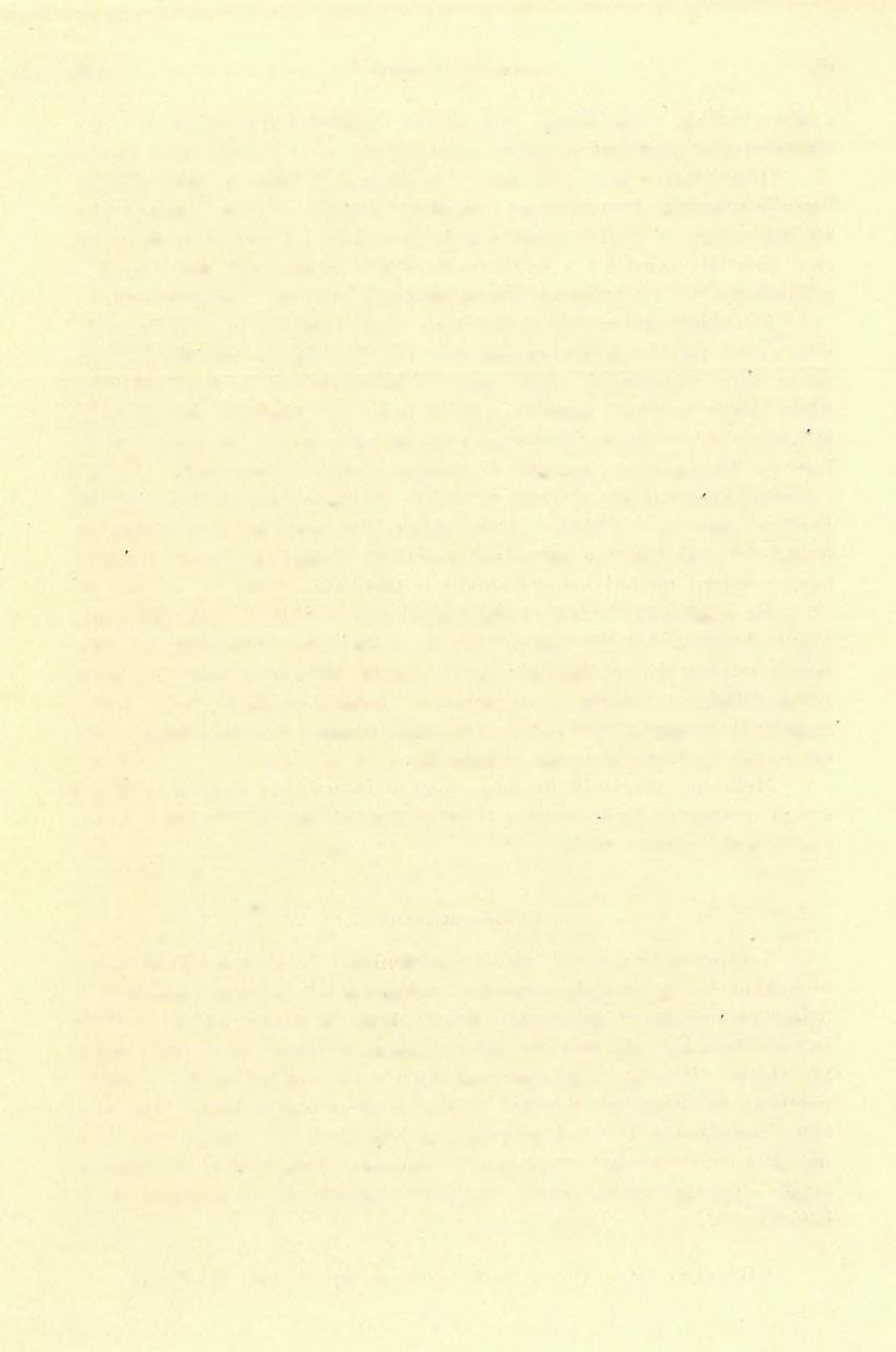 2 0 8 ILLÉS VILMOS (5 ) E rétegeknél mindenhol a K ÉK-i csapásirány az uralkodó, DK-i vagy ÉNy-i dőléssel.