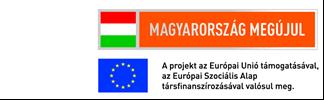 2.2-12/1-2012-0001 azonosítószámú A pályaorientáció rendszerének tartalmi és módszertani fejlesztése című kiemelt projekt keretén belül 2013 évben kifejlesztésre került a blended learning