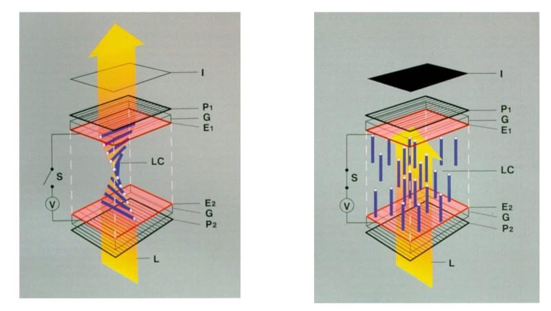 LCD = Liquid Crystal Display Folyadékkristály (Liquid Crystal): olyan (szerves ) anyag, mely sűrű folyadéknak tekinthető, ugyanakkor molekulái a kristályokhoz hasonlóan képesek struktúrákba