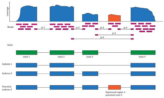 (remember context dependent) https://bioconductor.