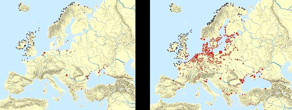 1965 2005 Állománynagyság alakulása Észak- és Közép-európai állományok alakulása: 3000-5000 költőpár