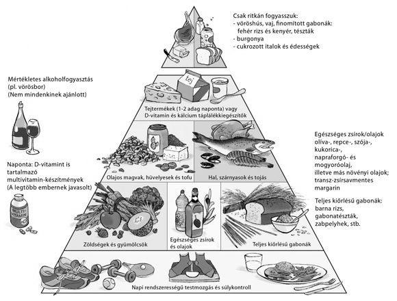 Az ismeretek bővülésével 2008-ban a Harvard Egyetemen