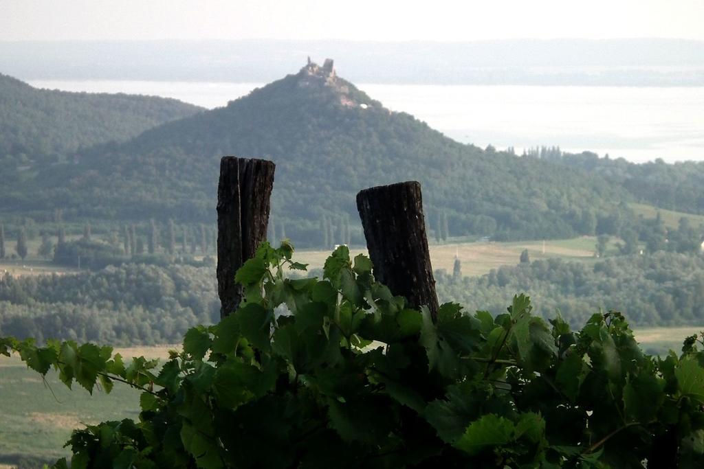 Fotó: Viniczai Sándor Az önkormányzatoknak persze megvan a lehetőségük arra, hogy módosítsák a településrendezési tervet, de amíg ez nem történik meg, addig az aktuális helyzet alapján kell döntést