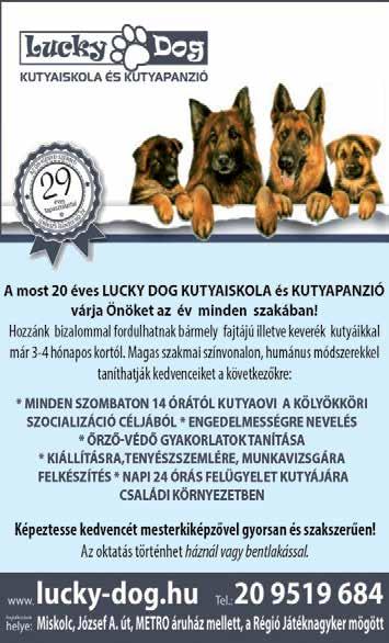 munkatársakat, kiemelt, uniós szintű díjazással keresünk sürgősen felvételre. A pályázatokat a munkaero.borsod@gmail.com email címre várjuk.