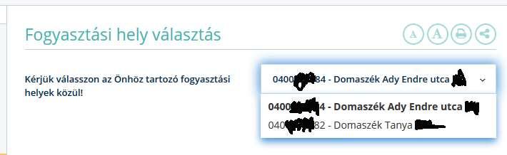 14. Diktálási időpontok Amennyiben több fogyasztási hellyel is rendelkezik legördülő menüből kiválaszthatja azt, aminek a diktálási időpontját meg szeretné