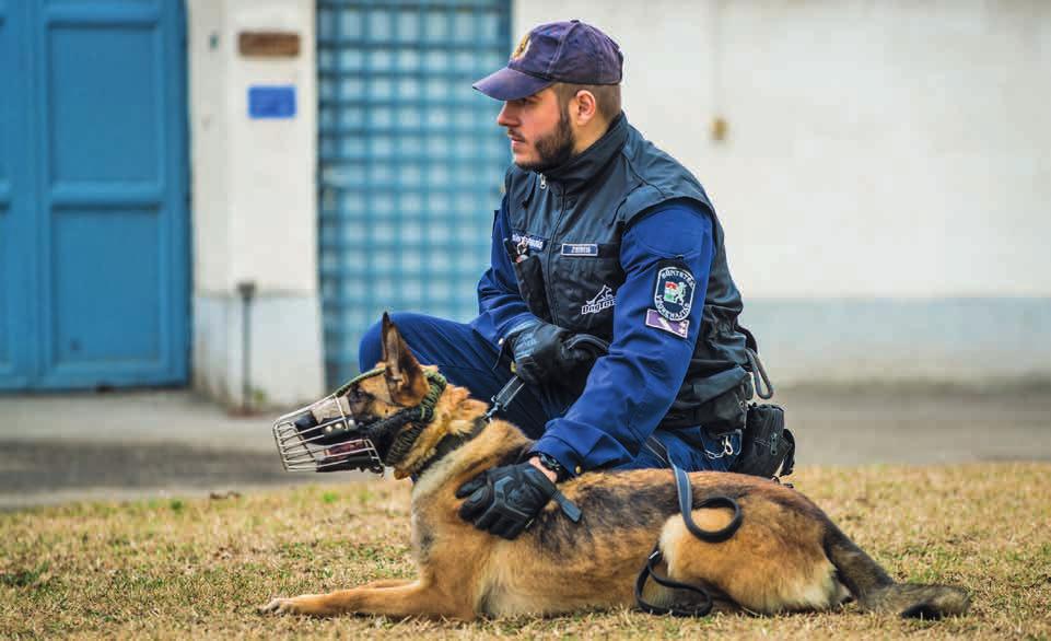 nyomkövető-járőr duál kutyák továbbképzéssel egybekötött vizsgáztatására is sor került. A Bv. Szervezet tevékenysége során kizárólag nyomkövető kutyák alkalmazására ritkán kerül sor.