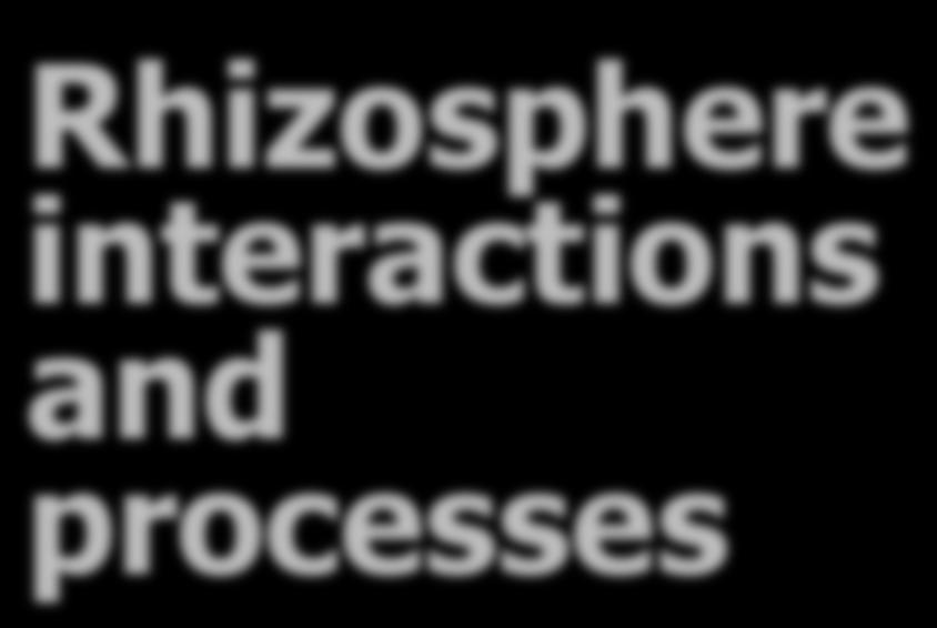Rhizosphere interactions