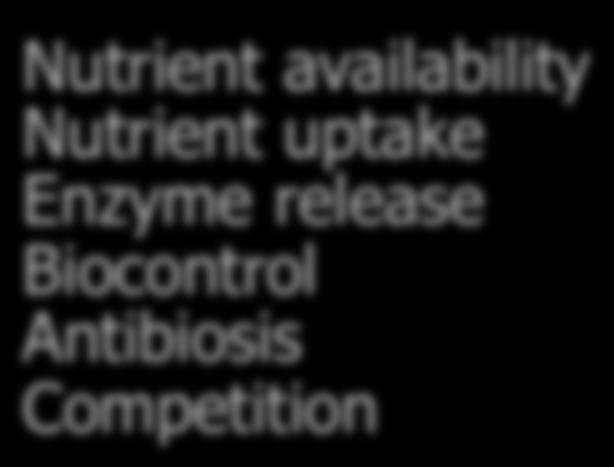 uptake Enzyme release