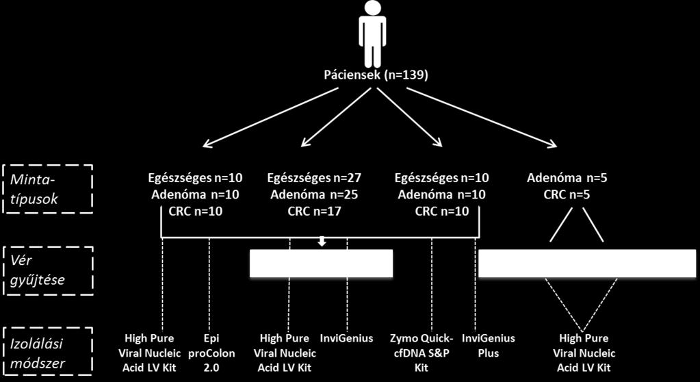 plazmából izoláltuk a DNS-t. A DNS eluálása 100 µl RNáz- és DNáz-mentes PCR tiszta desztillált vízben történt. Az skdns kvantifikálására Qubit 1.