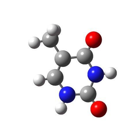 timin 2,8 Â adenin A DS bázispárjai citozin