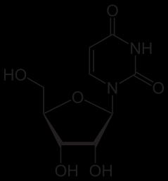 RS építőelem uridinn uridinnfoszfátok - P - uridin 3-( -D-ribofuranozil)-uracil op= 165 o C uridin-5'-foszfát