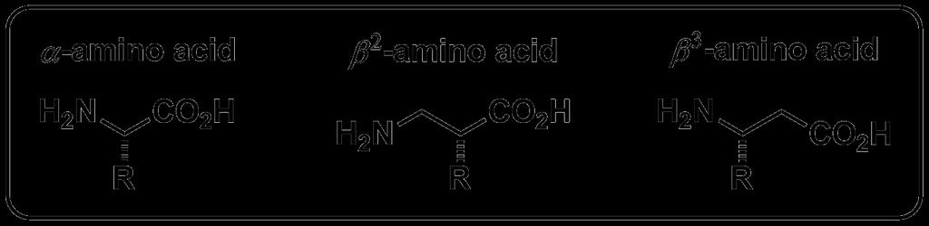 A) természetes aminosavak