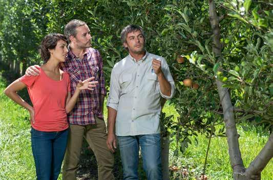 Gyümölcstermesztés 2018 A Yara magazint szerkesztő kollégák a következő témát javasolták: Mi várható gyümölcsfronton (különösen almában)? Őszintén szólva, nem túl könnyű évet zártak az almatermelők.