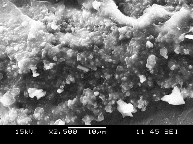 társítású epoxi gyanta, d) Szén nanoszálak kapcsolata az epoxi mátrixszal ÖSSZEFOGLALÁS A kutatás jelenlegi fő eredménye, hogy létrehozhatók olyan szén nanoszálas szerkezetek, amelyek később