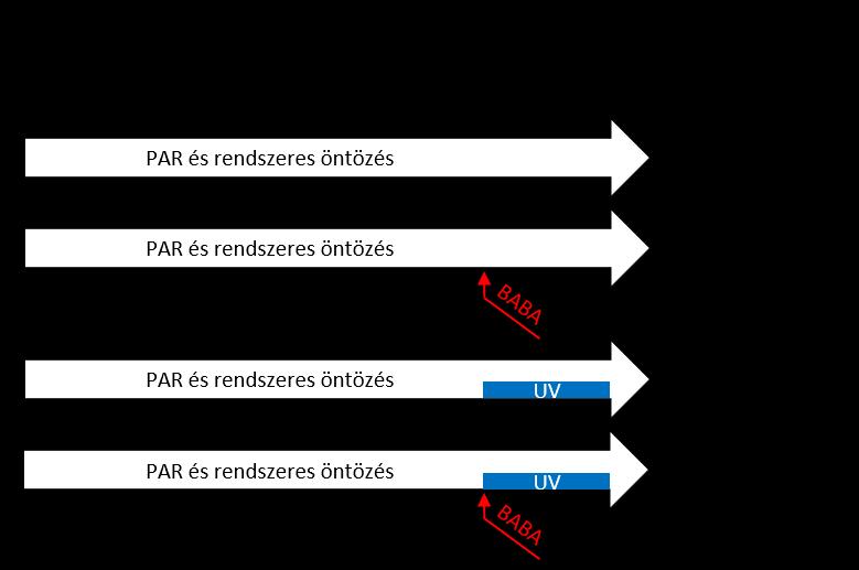 4.2. ábra: N. tabacum növények β-aminovajsav és UV-B kezelése. A növények az egész kísérlet alatt 175 µmol/m 2 /s látható fényt (PAR) és rendszeres öntözést kaptak.