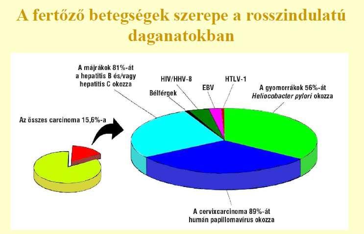 Fertőző betegségek szerepe