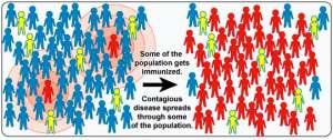 A védőoltások és az átoltottság fontossága -a nyáj-immunitás kialakulásában Forrás: National Institute of Allergy and Infectious Diseases (NIAID) www.vaccine.