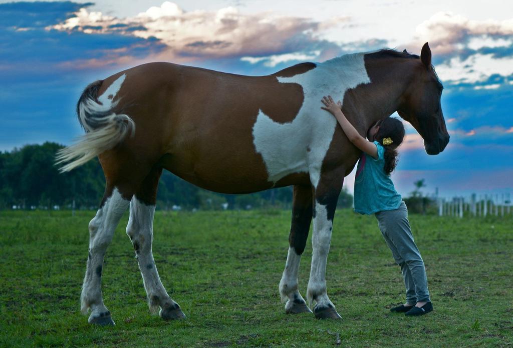 gyógytorna. Az úgynevezett gyógypedagógiai lovaglás és lovastorna ezzel szemben fejlesztő-nevelő foglalkozás lovasterapeuta vezetésével.