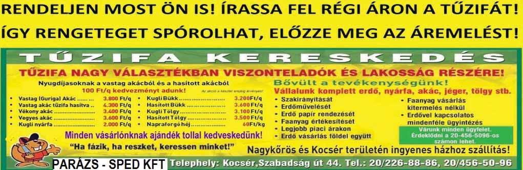 Nagycsaládban élni jó A Kőrös Környéki Nagycsaládosok Egyesületének tagjai május 25-én, gyermeknap alkalmából a Magyar Nemzeti Cirkusz előadását nézték meg Kecskeméten.