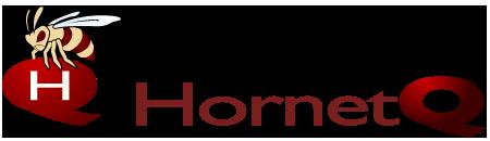 HornetQ JBoss 6.x JMS Provider http://hornetq.jboss.