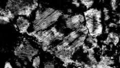 Gucsik Arnold Oikejama: az első japán meteoritkráter homokkőből származó kvarcon sikerült kimutatni párhuzamos, lemezes mikrostruktúrákat, melyek jól illeszkednek a bizonyított meteoritkráterekből