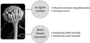 életkorban indul el a folyamat, hiszen ez megjelenhet már a születéskor is, amikor fertőzött anya szül.