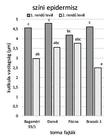 Az elsőrendű levelek színi epidermiszén mért kutikula vastagsága 4,1-4,8 µm, a másodrendű leveleknél 2,5-3,75 µm, statisztikai különbség