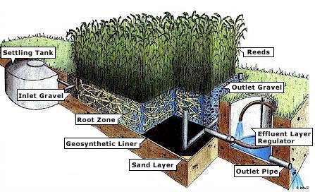 vízzáró szigetelés a növényágy fenekét a legmagasabb ismert vízszint sem érheti el vízszintes átfolyású növényágy: 50 cm talajtest függőleges átfolyású növényágy: 80 cm talajtest