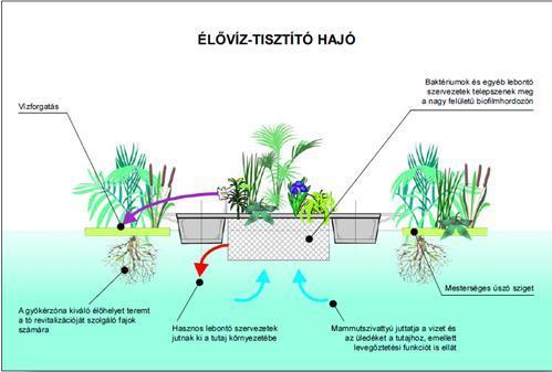 felett van vízmélység: 10-50 cm a tisztítási