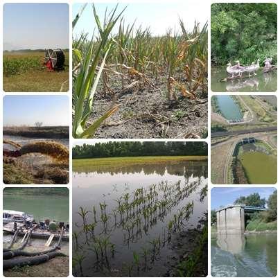 Pusztaságot tett vala, álló tavakká, és kiaszott földet vízforrásokká. (Zsolt. 107:35) KÖTIVIZIG ÖNTÖZÉSFEJLESZTÉSI STARTÉGIÁJA II.