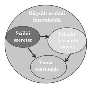 ezek az események. TUDOMÁNYOS FÓRUM Eredményeink alapján felrajzolt modellünk sze