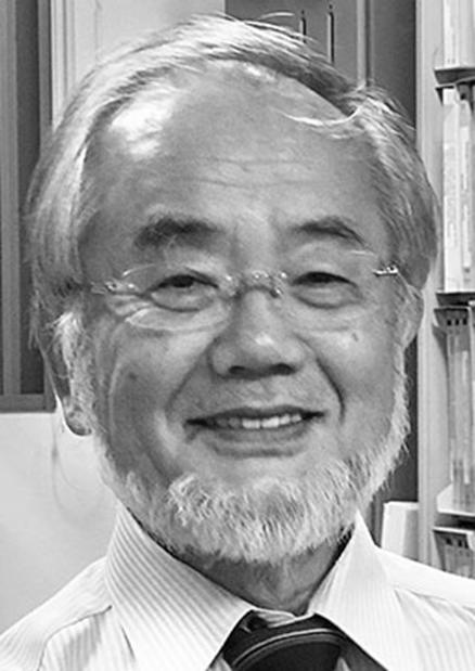 NEMZETKÖZI KITEKINTŐ, AKTUALITÁSOK Orvosi - Élettani Nobel díj - 2016.