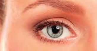4 Szemvédelmi katalógus Az emberi szem A szaruhártya - közvetlen kapcsolatban van a külső környezettel, alapvető szerepet játszik a fénysugarak továbbításában.