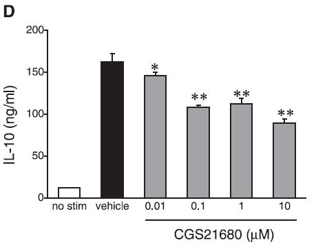 A folyamat szabályozásának megismeréséhez aktiválatlan + vivıanyag-kezelt, aktiválatlan + 1 nm CGS2168-kezelt, aktivált + vivıanyag-kezelt, és aktivált + 1 nm CGS2168-kezelt Th1 és Th2 sejtekbıl