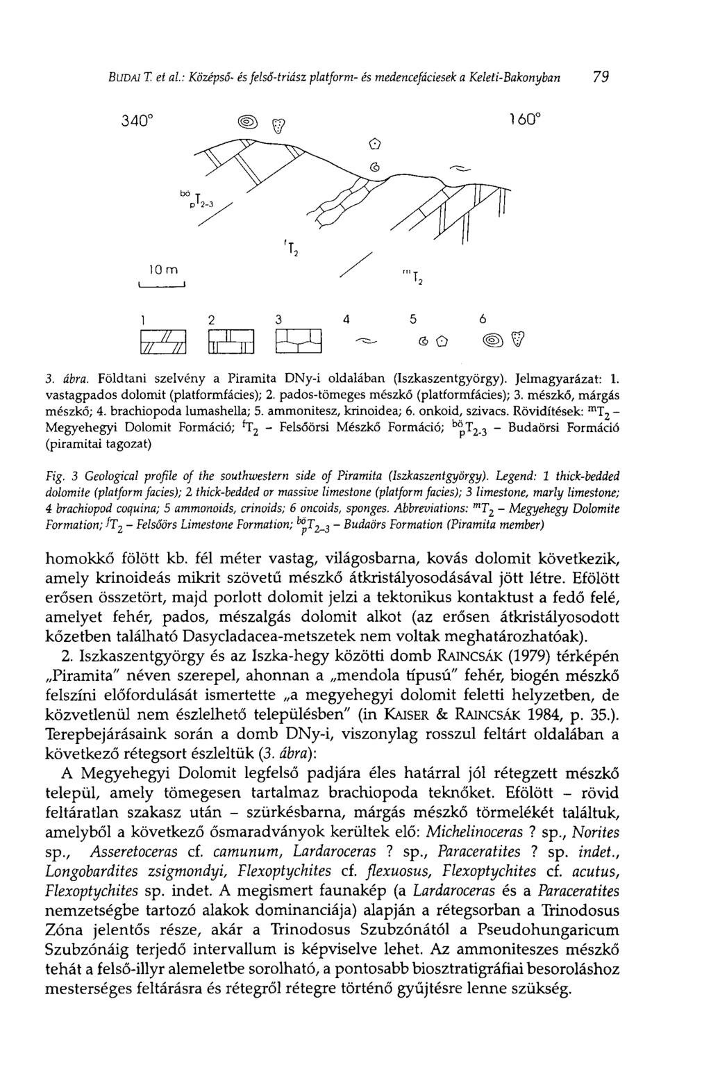 BUDAI T. et al: Középső- és felső-triász platform- és medencefáciesek a Keleti-Bakonyban 79 3. ábra. Földtani szelvény a Piramita DNy-i oldalában (Iszkaszentgyörgy). Jelmagyarázat: 1.