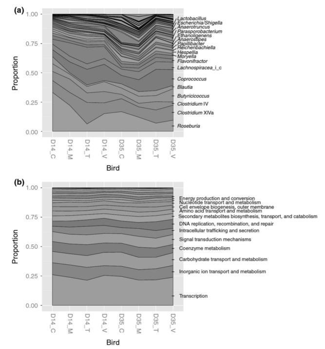 GIT microbiome Csirke mikrobiom vizsgálatok