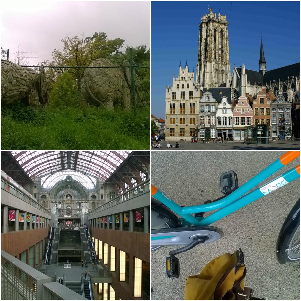 a kikötőben lévő MAS nevű, többszintes, modern múzeumba (amely Antwerpen történetét meséli el) és a tetőn széles teraszról csodálatos a panoráma.