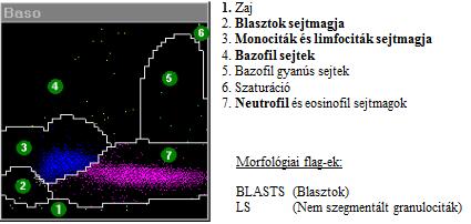 peroxidáz és bazofil csatornán történő