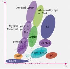 Fluoreszcens festés alkalmazása (pl.sysmex): Kvázi intakt sejtekben festi a DNS-t /RNS-t fluoreszcens markerekkel.