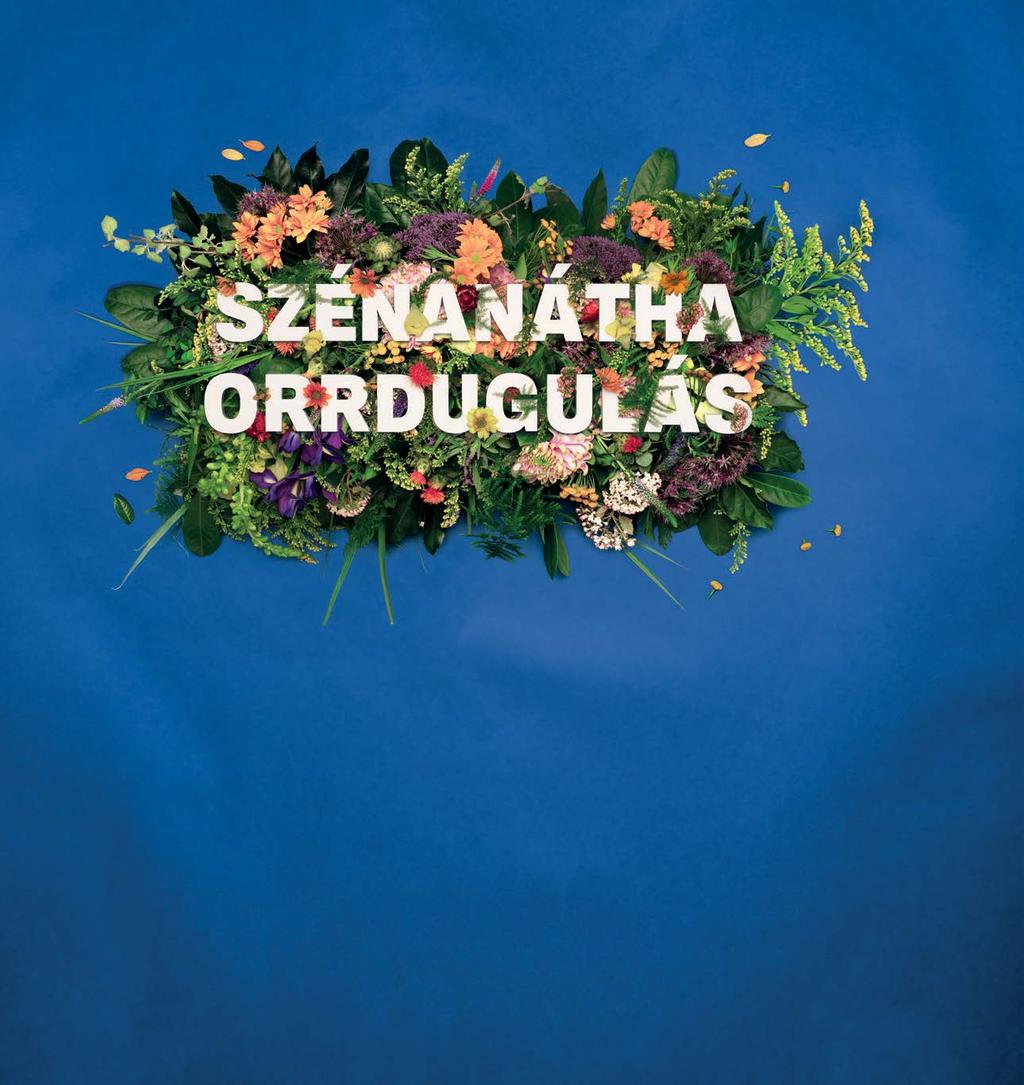 SIPO Patikák magazin Akciónk 2019. agusztus 1-től 31-ig, ill. a készlet erejéig érvényes!