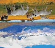 meghirdetett látnivalókhoz Húsvét-sziget Torres del Paine Nemzeti Park Los Glaciares Nemzeti Park 11 NAP l 2020.02.10. 1-2.