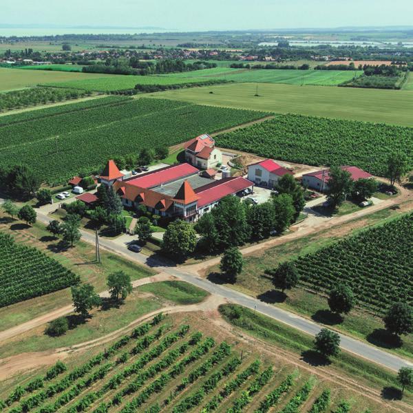A Bujdosó Vinotékában ez az élmény mesés borok tolmácsolásában szólal meg az itteni borkóstolók során. 8638 Balatonlelle, Várszói út Hrsz 4303/23.