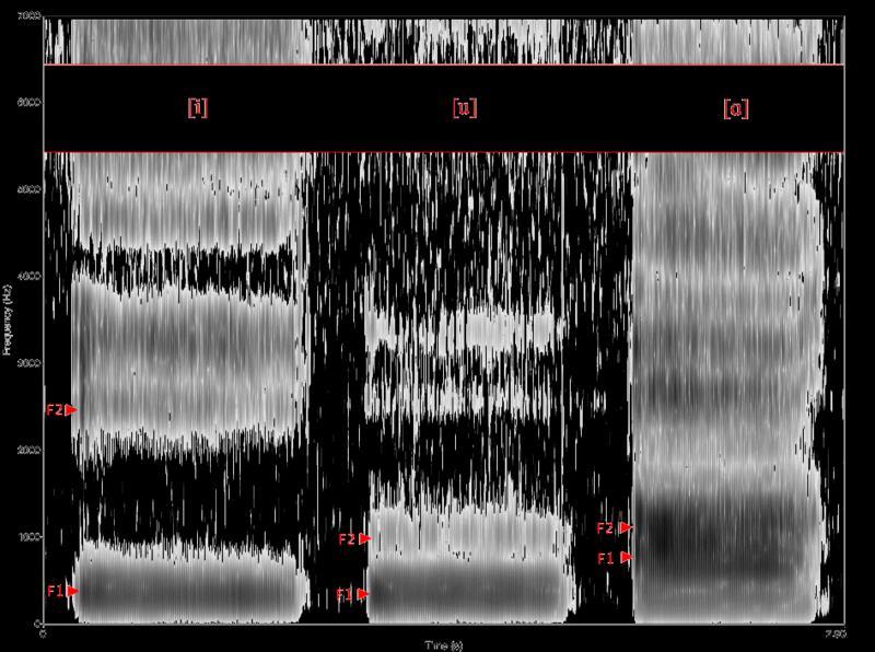 org/wiki/vowel#/media/file:cardinal_vowel_tongue_position-front.svg, https://en.wikipedia.